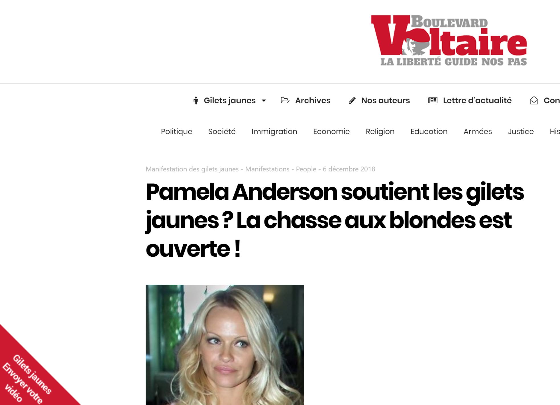 boulevard-voltaire-soutien-pamela-anderson-qui-soutient-les-gilets-jaunes.jpg